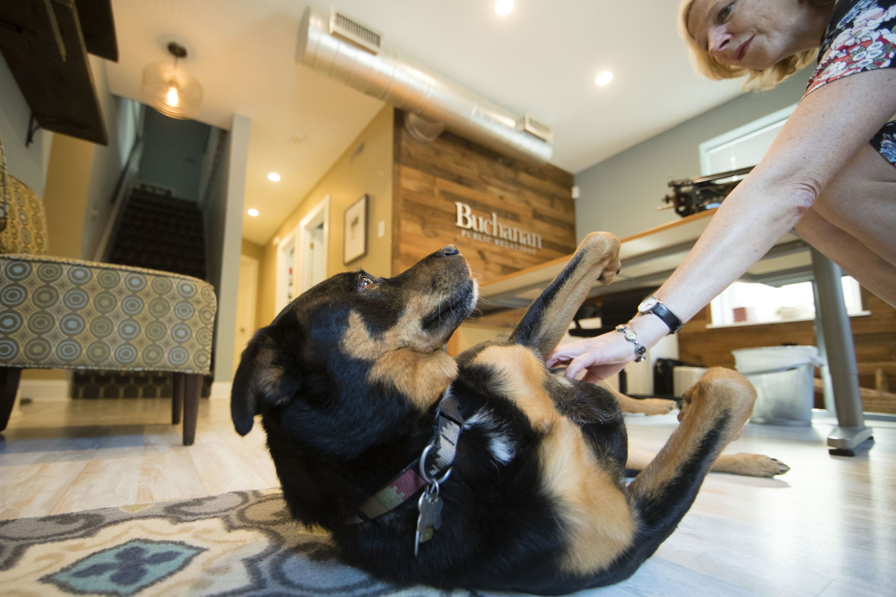 SmallBiz-Small Talk-Pets at Work